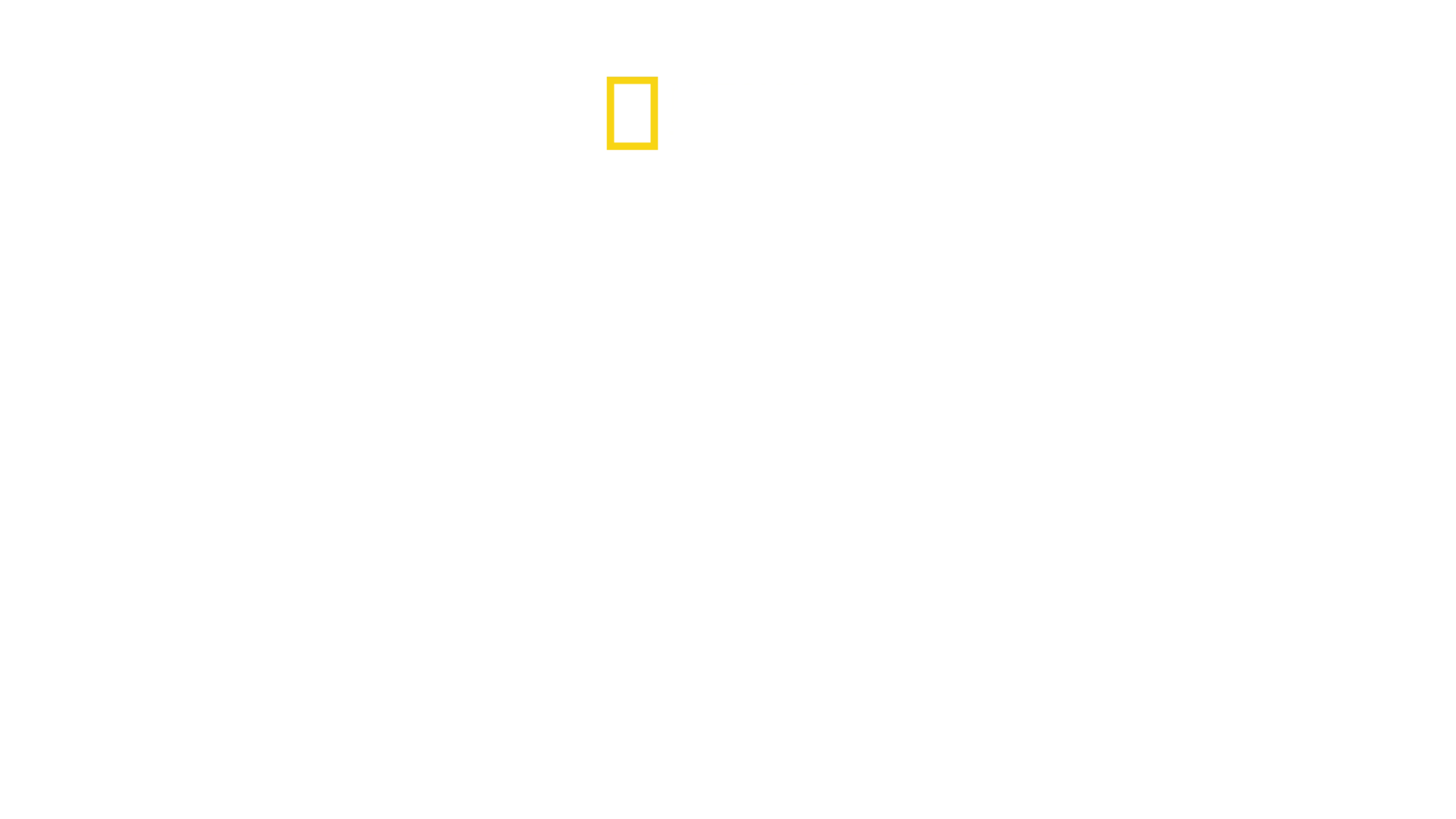 Όταν οι Καρχαρίες Επιτίθενται