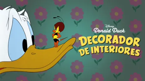 thumbnail - Decorador de interiores