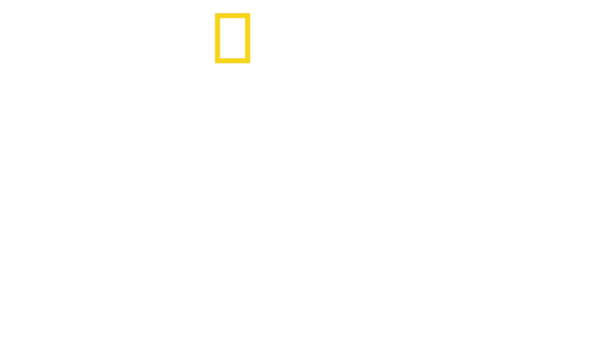 Perdidos na Amazônia