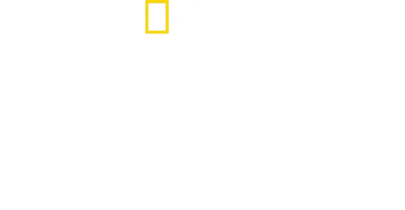Perdidos na Amazônia