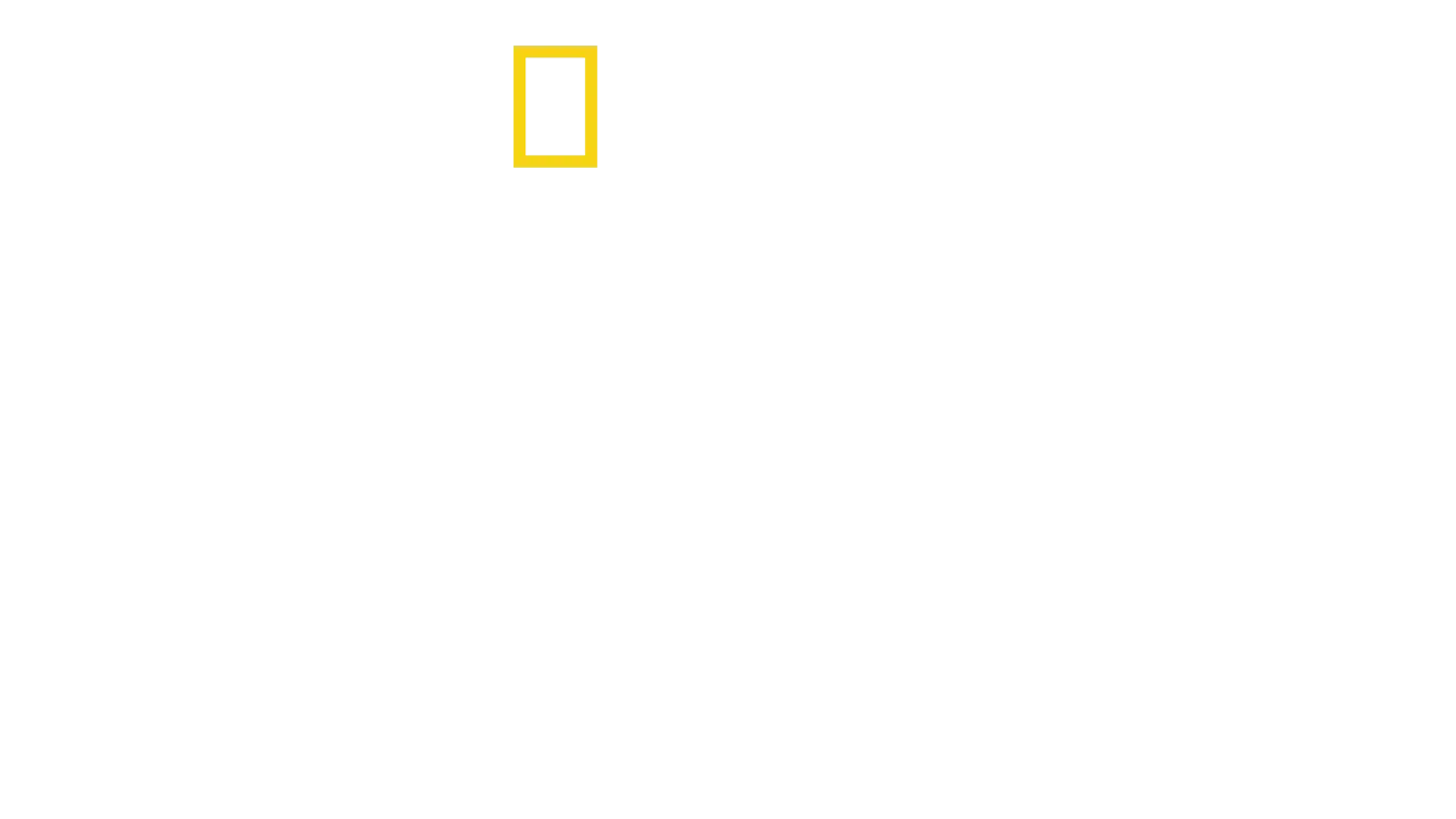 Expedição Amelia: A Busca Pelo Corpo