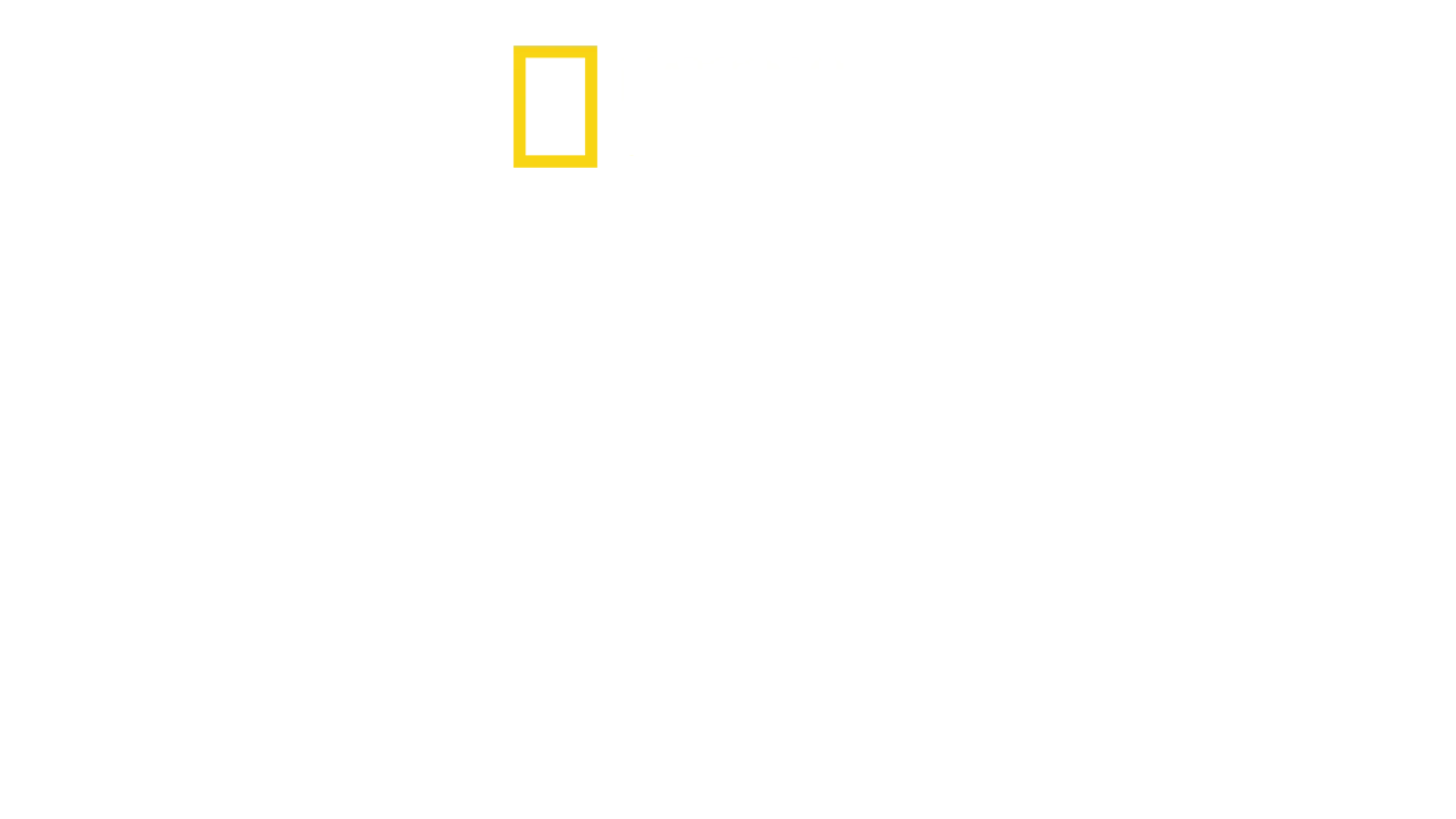 Expedição Amelia: A Busca Pelo Corpo