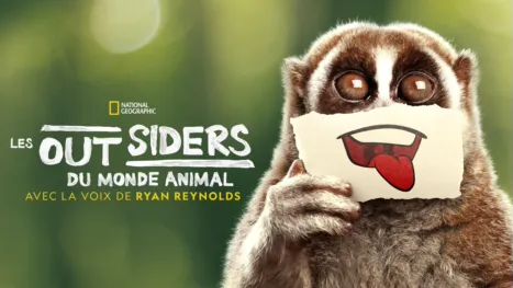 thumbnail - Les outsiders du monde animal