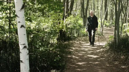 Le journal d'un vieil homme