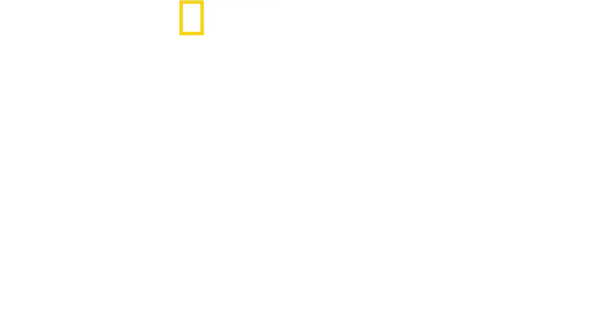 D-Day: Operation Neptune