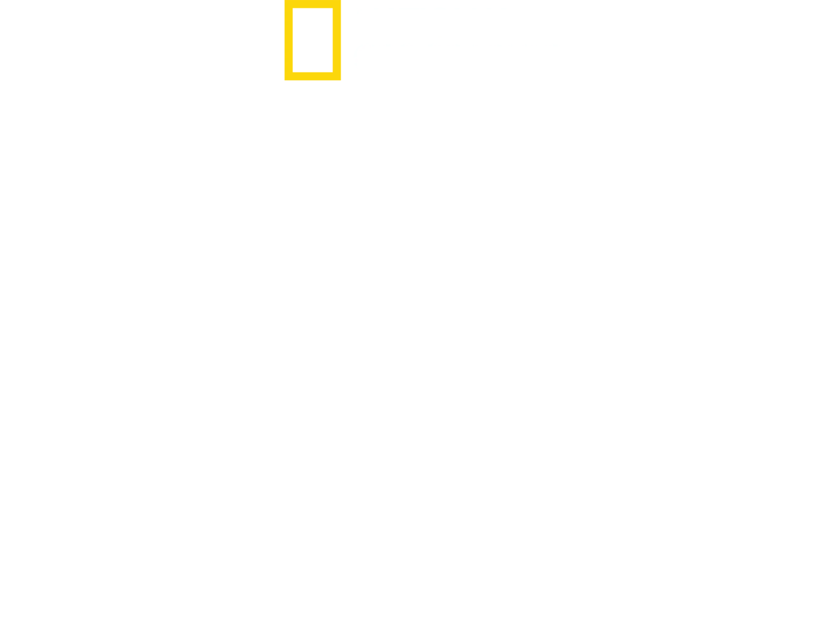 鲨鱼宝宝成长记