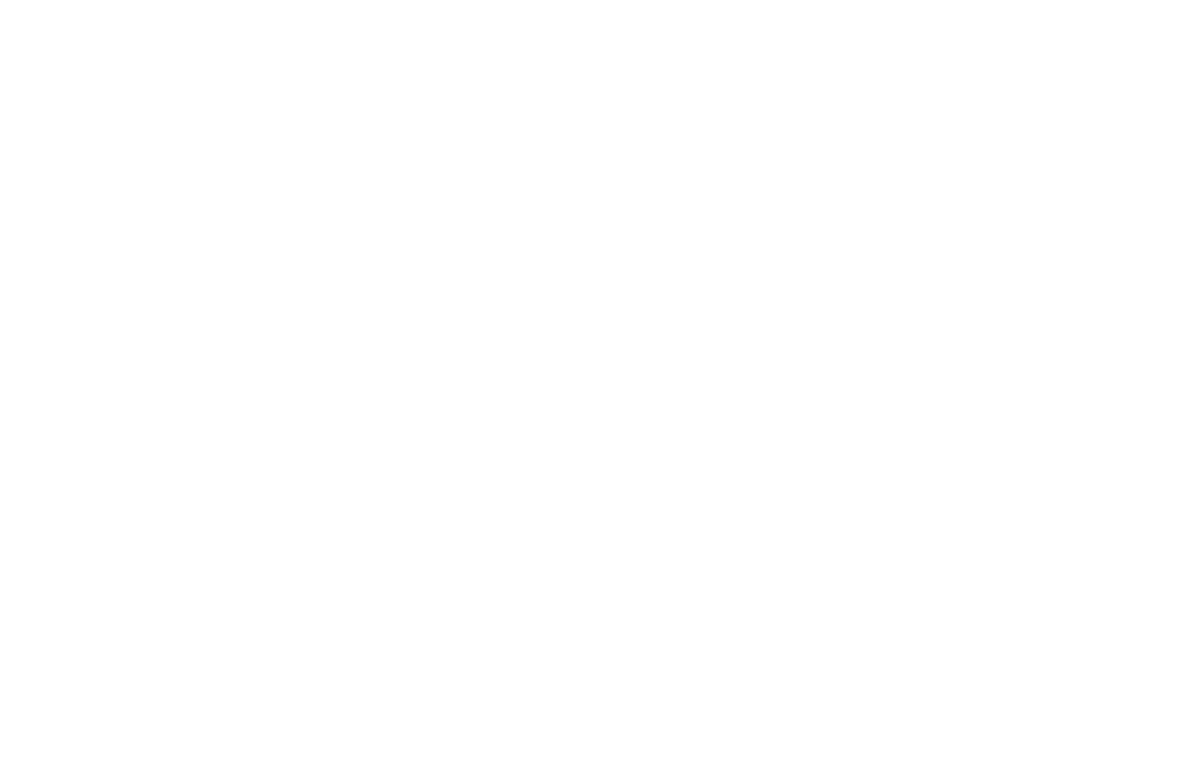 The Night Owl