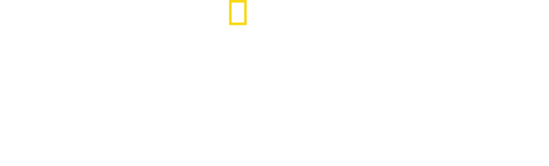 Un amour, deux panthères
