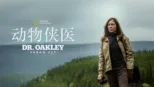 thumbnail - 动物侠医