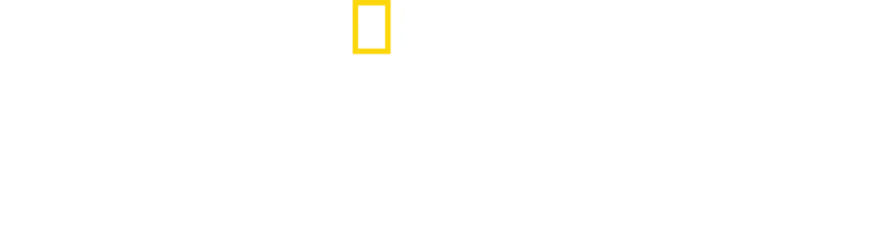 Alla scoperta delle città perdute con Albert Lin