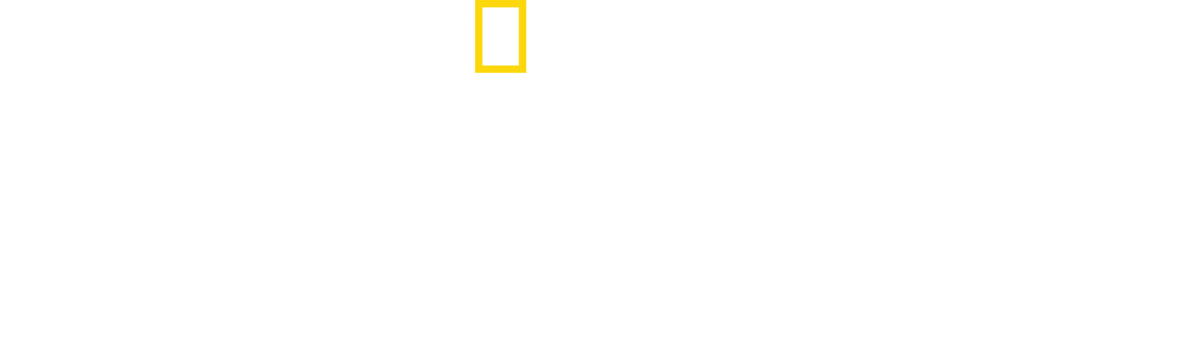 Alla scoperta delle città perdute con Albert Lin