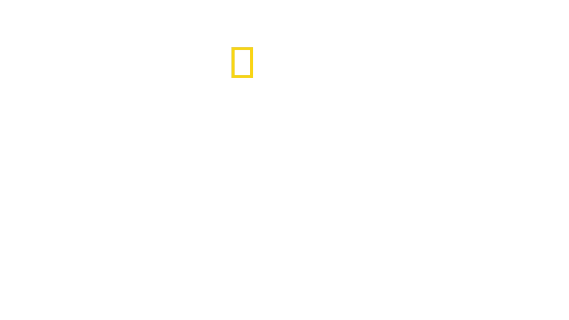 United States of Animals