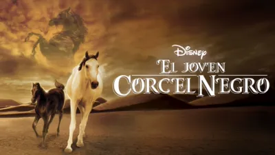 El joven corcel negro