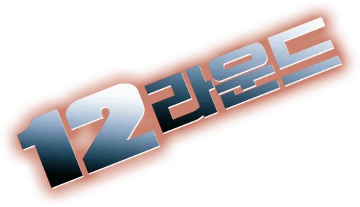 12 라운드