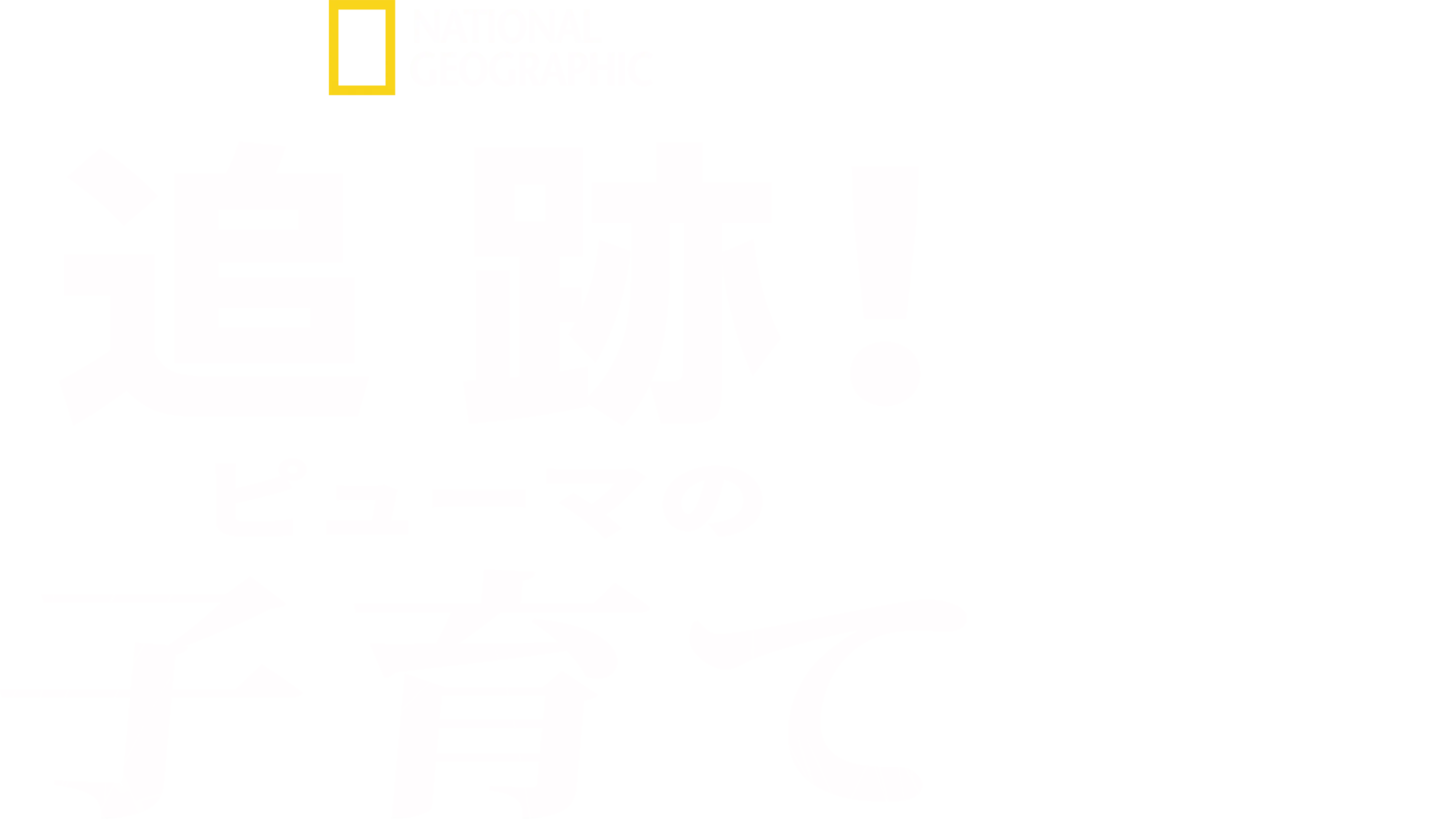 追跡！ピューマの子育て