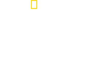 追跡！ピューマの子育て