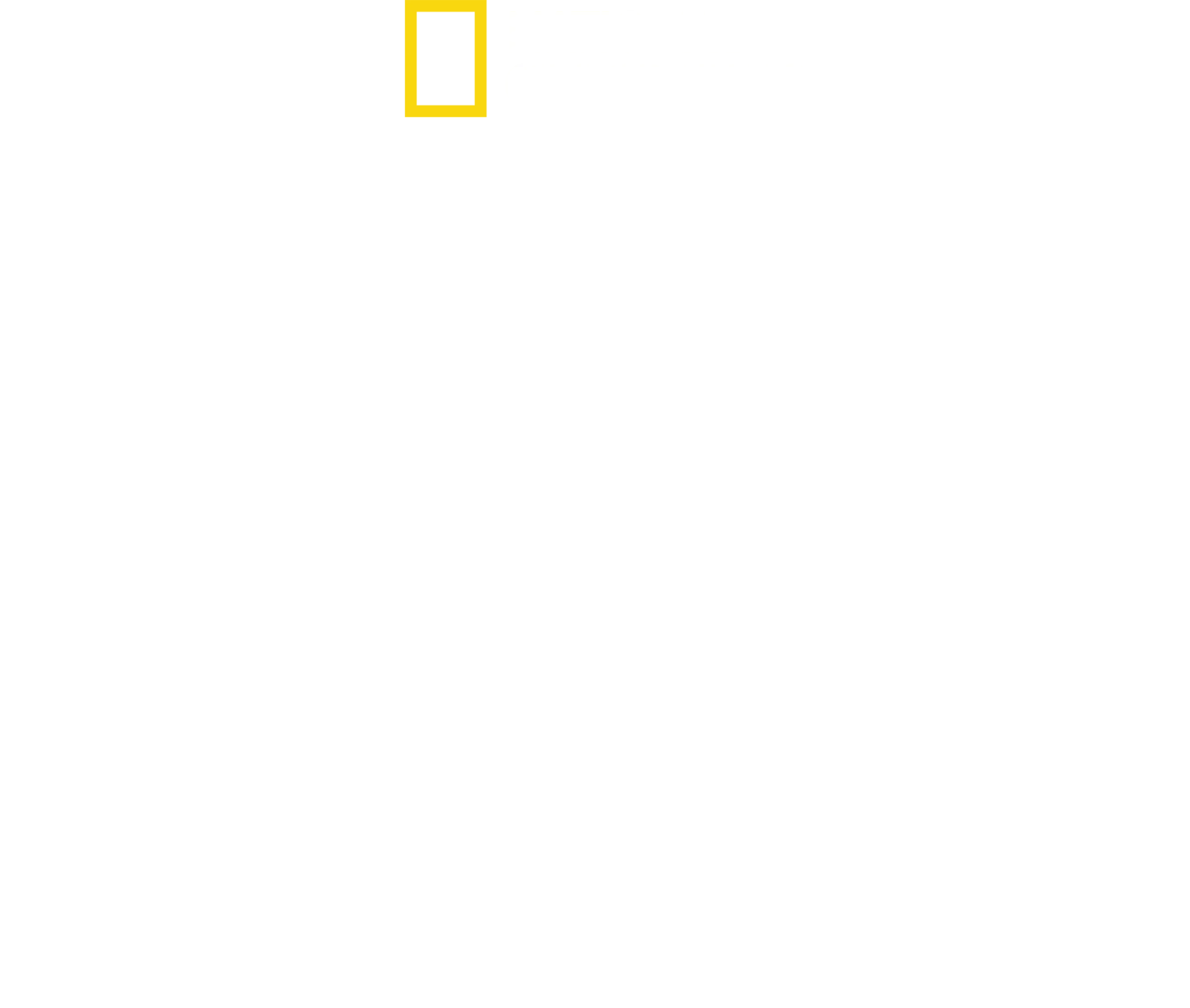 追跡！ピューマの子育て