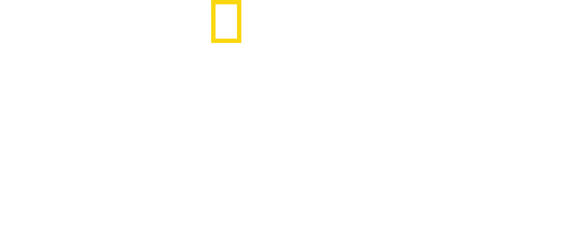 Viaggio nel mercato nero con Mariana Van Zeller