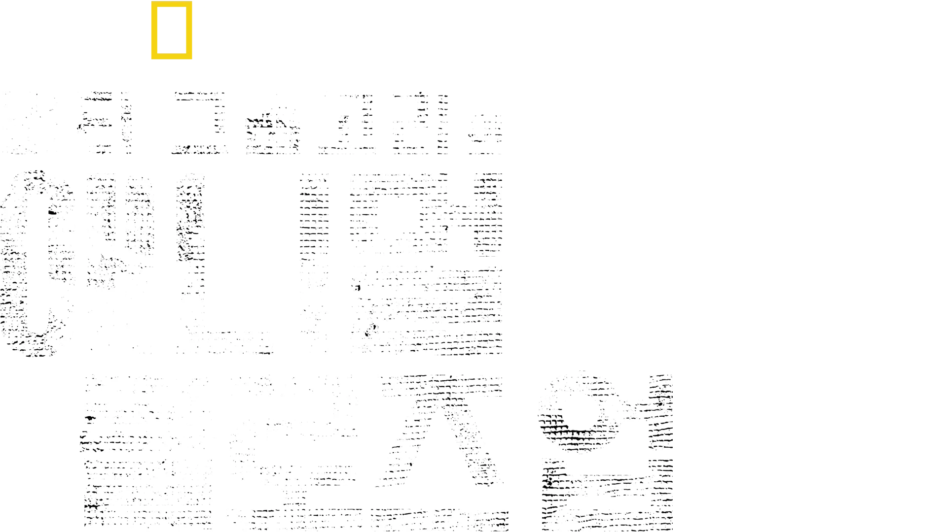 버티 그레고리의 애니멀 클로즈 업