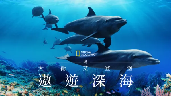 thumbnail - 與大衛艾登堡遨遊深海