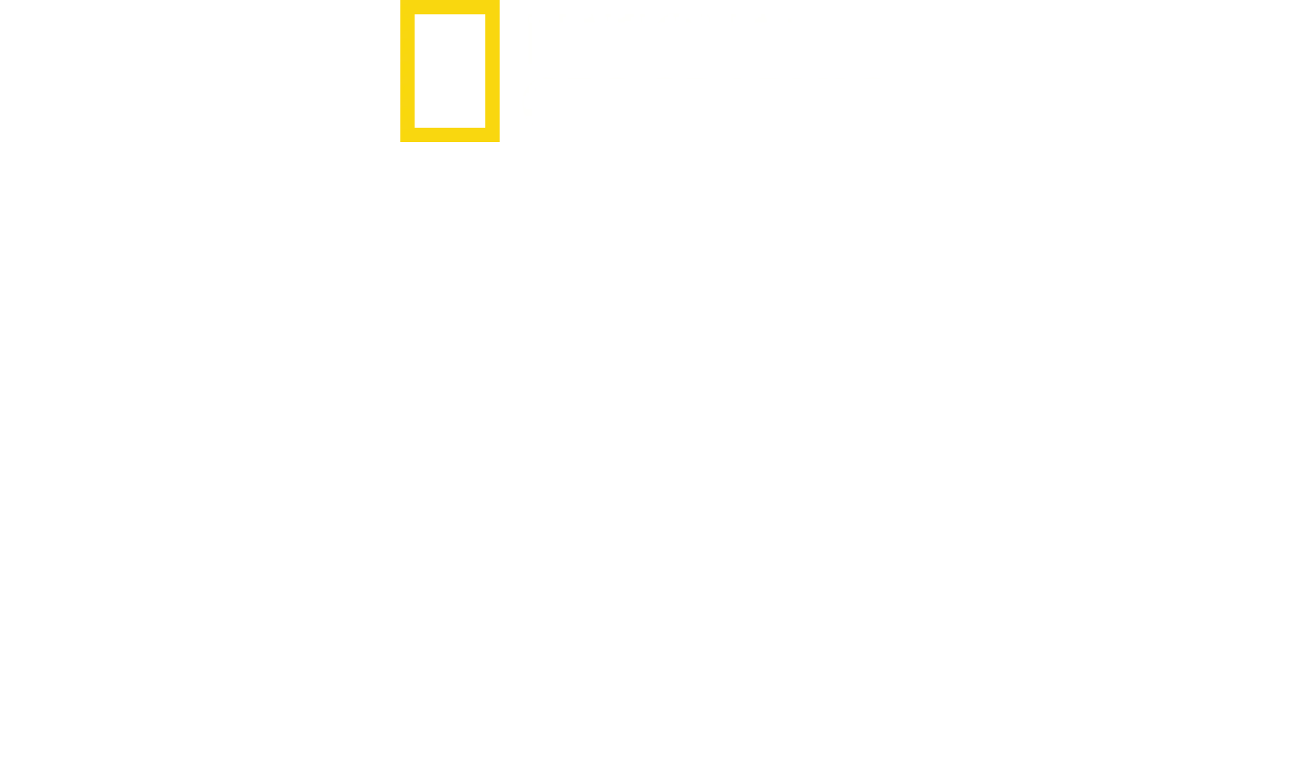 Mercado Ilegal com Mariana van Zeller