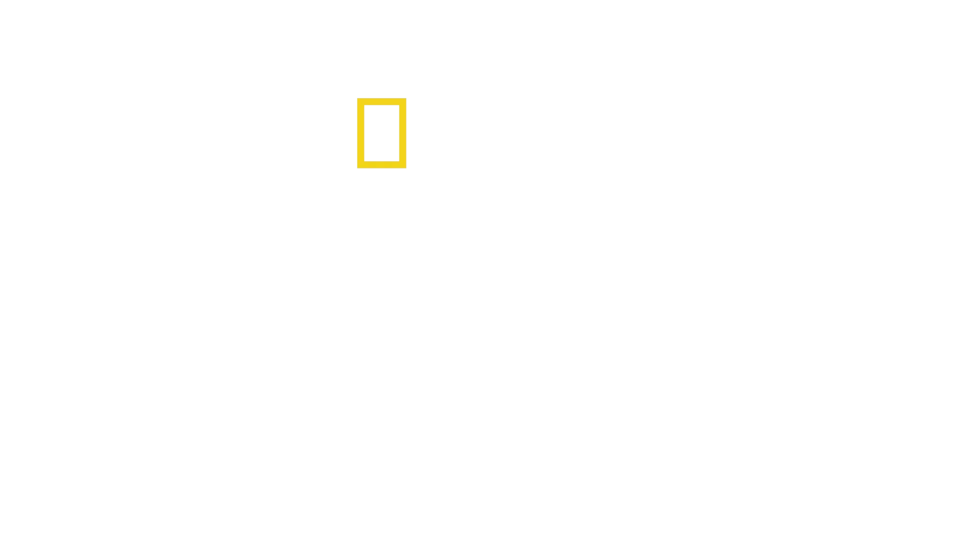 Τα Μυστικά των Ελεφάντων