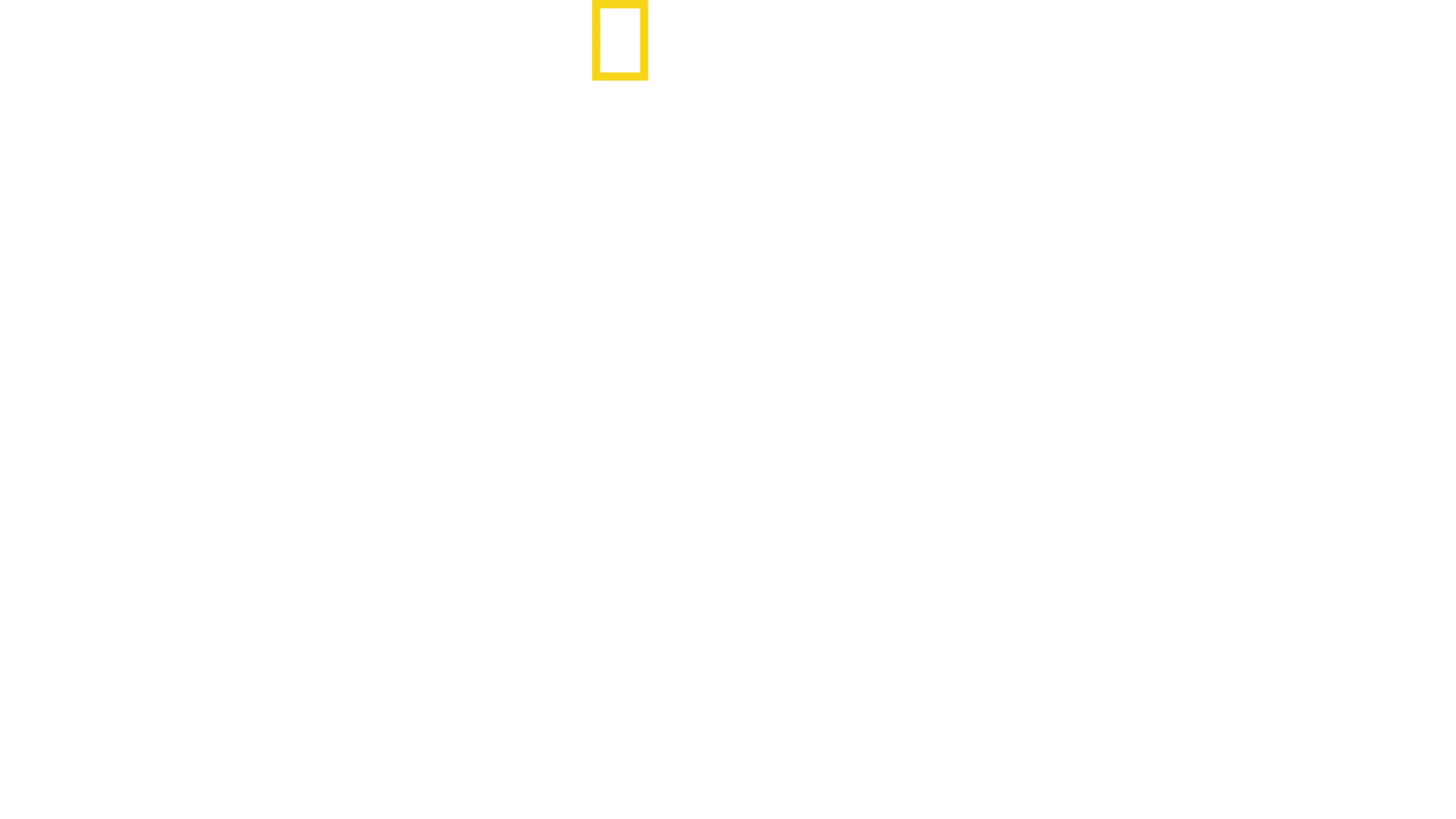 The Sharks of Hawaii