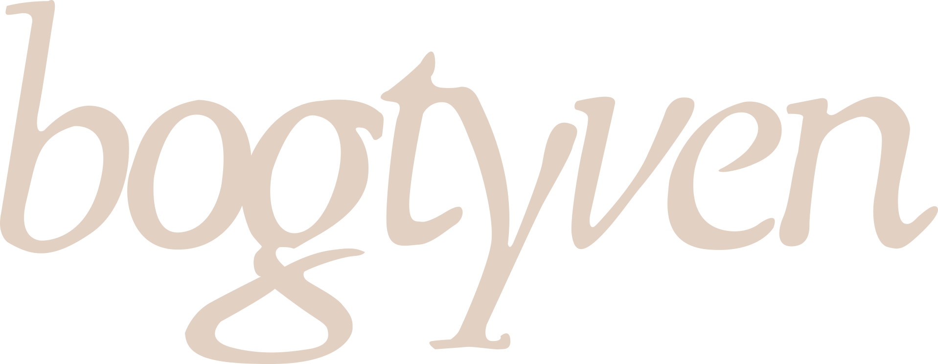 Bogtyven