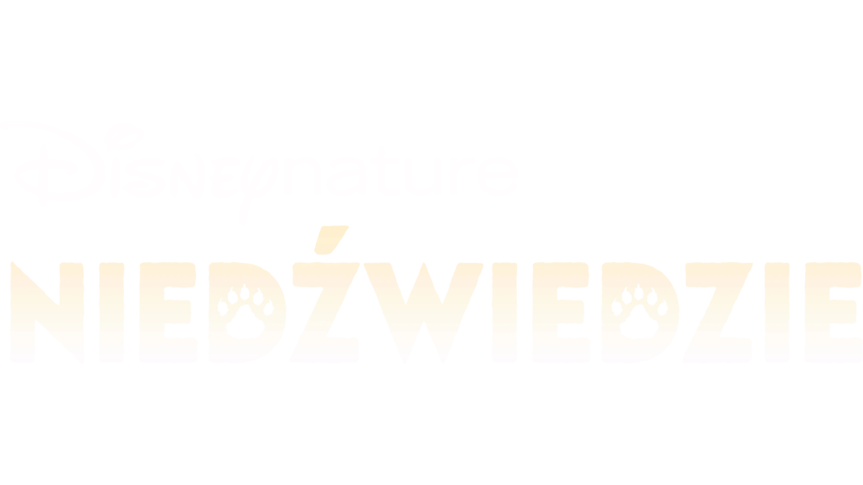 Niedźwiedzie
