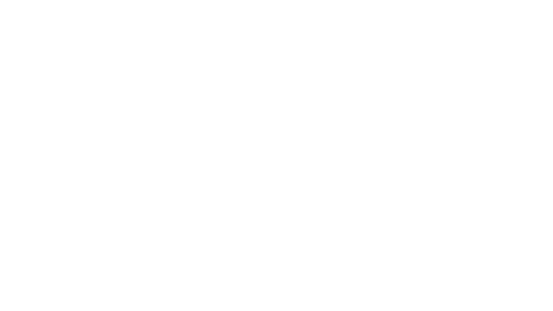 Le Renard : Prince des voleurs