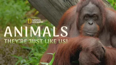 Animals, They're Just Like Us!