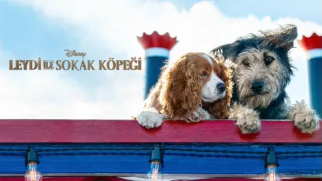 thumbnail - Leydi ile Sokak Köpeği