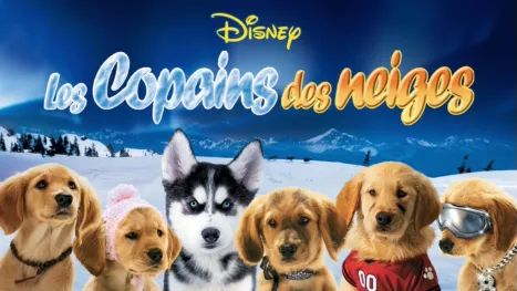 thumbnail - Les Copains des neiges