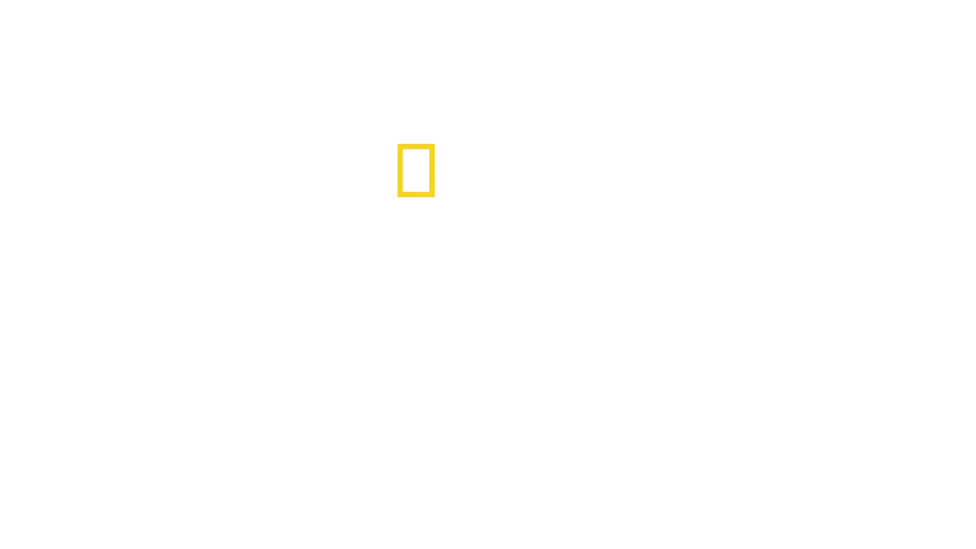 Μυστικά των Φαλαινών