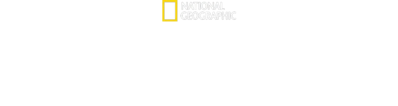 Μυστικά των Φαλαινών