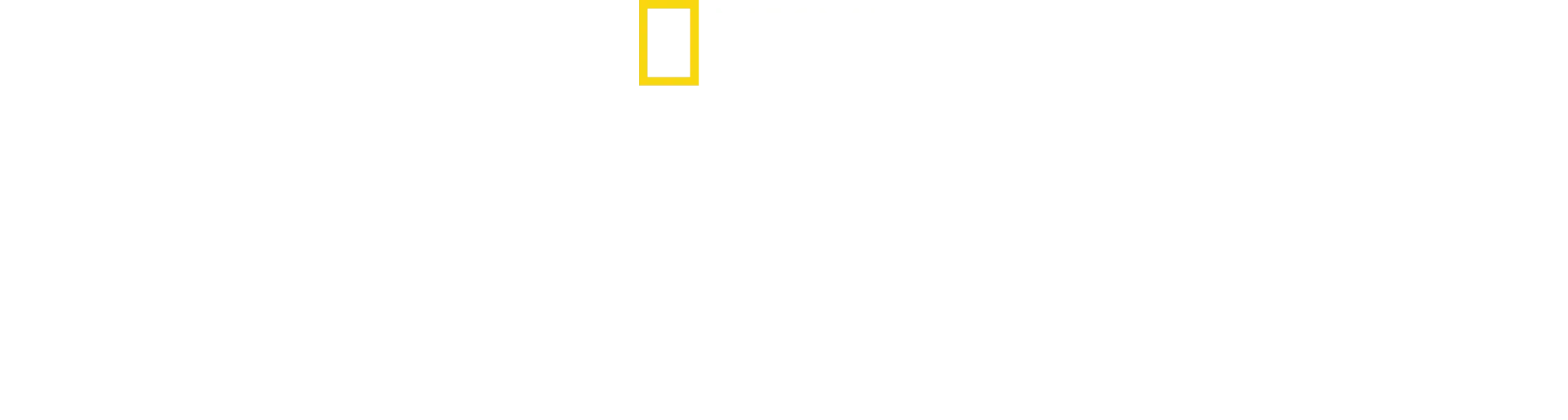 Μυστικά των Φαλαινών