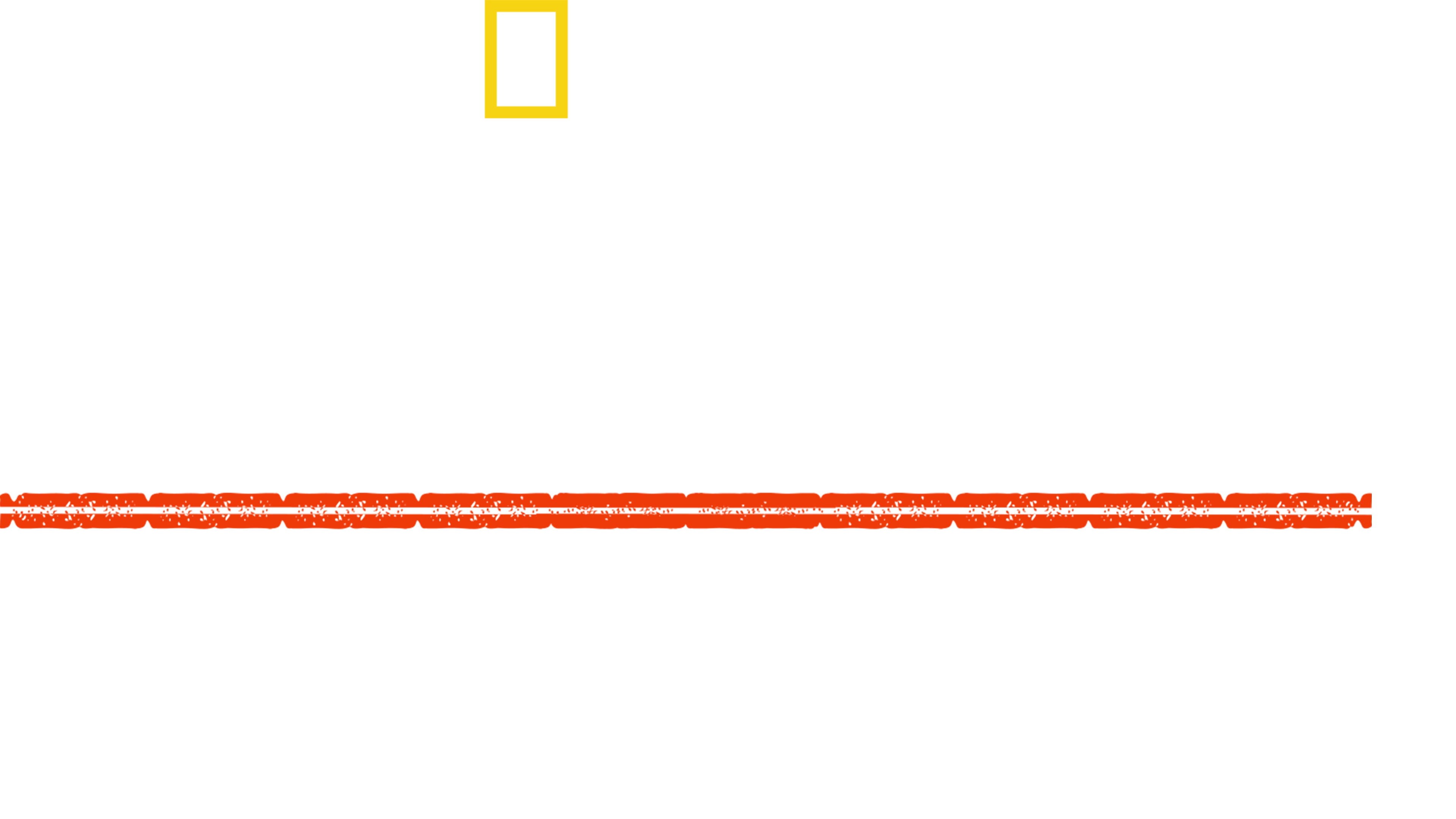 아포칼립스: 히틀러의 동부전선 장악