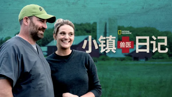 thumbnail - 小镇兽医日记