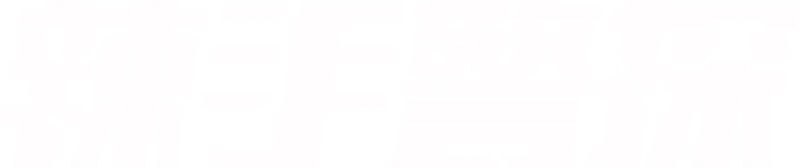 辣手警探