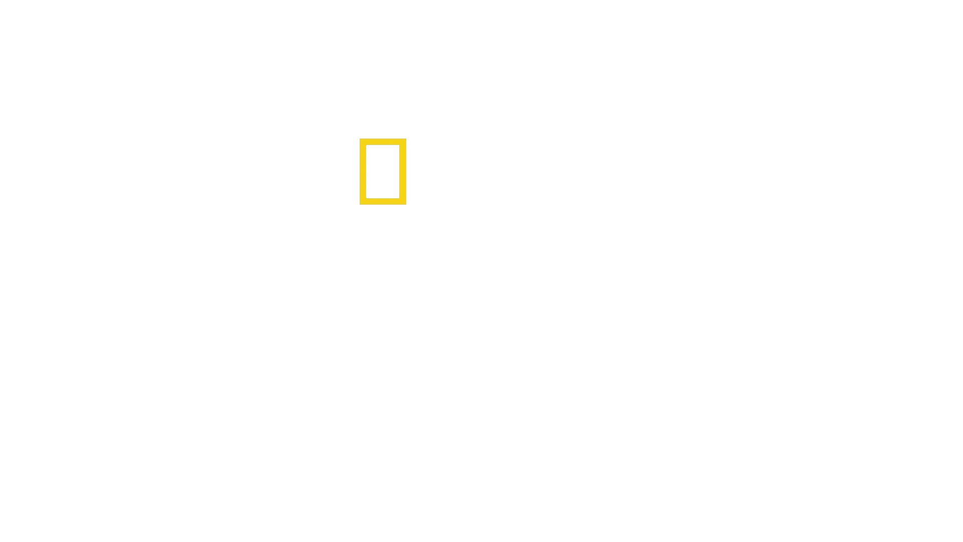 Baumlöwen: Rückkehr nach Uganda