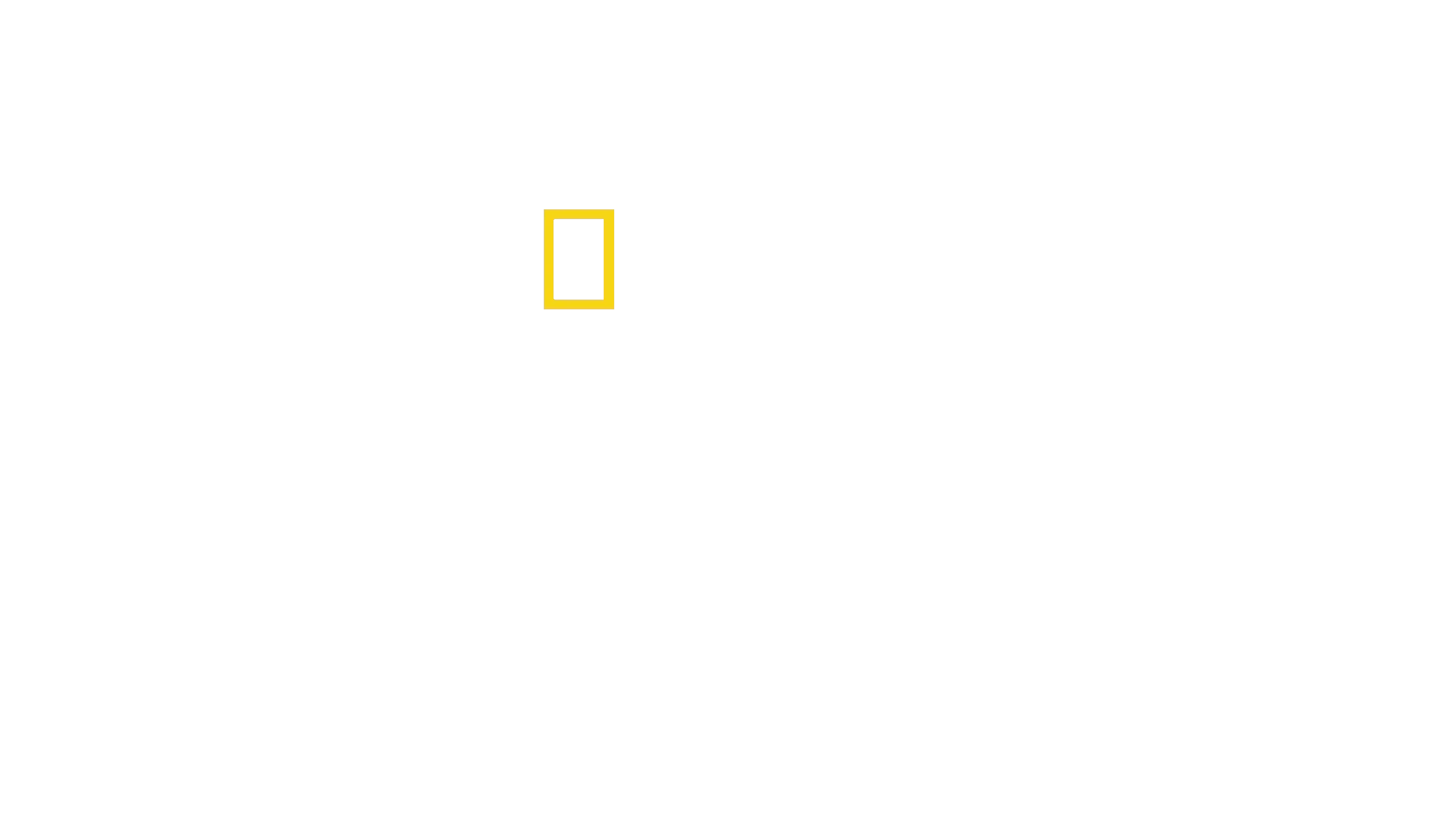 Baumlöwen: Rückkehr nach Uganda