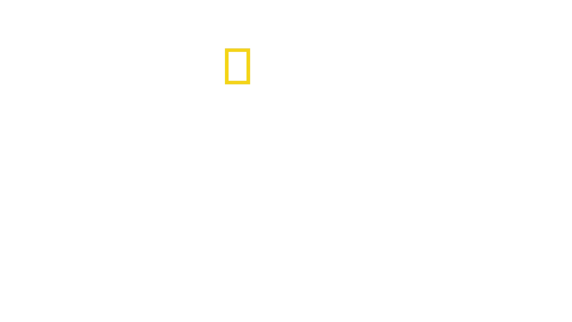 Mayday - Alarm im Cockpit