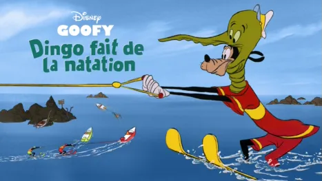 thumbnail - Dingo fait de la natation