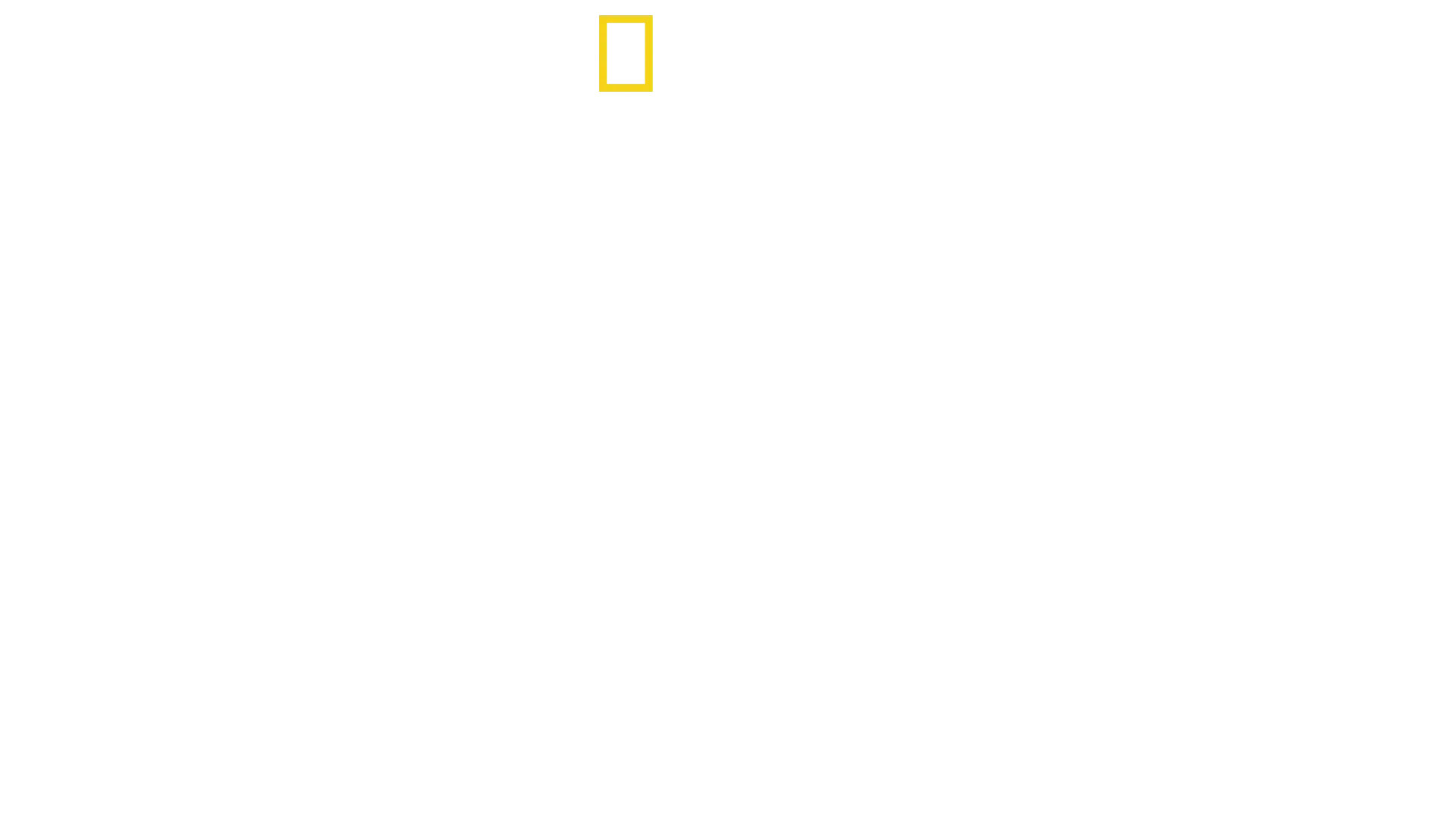 América do Sul: Animais Extraordinários