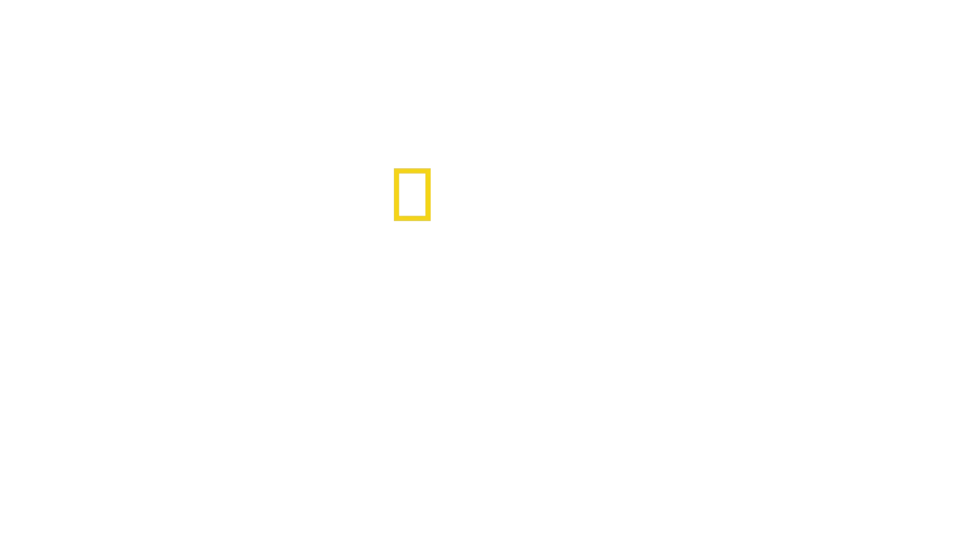 Sea of Shadows