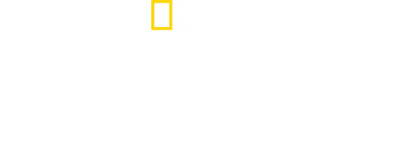 Objavovanie stratených miest s Albertom Linom