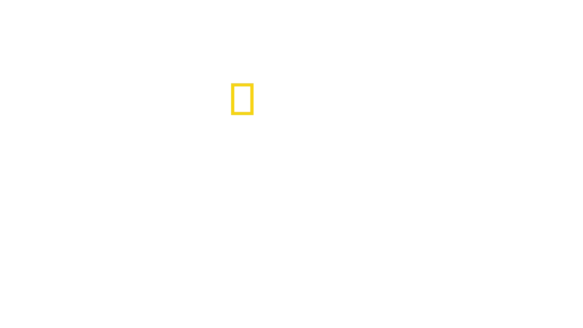 Haiangriff: Die Paige-Winter-Story