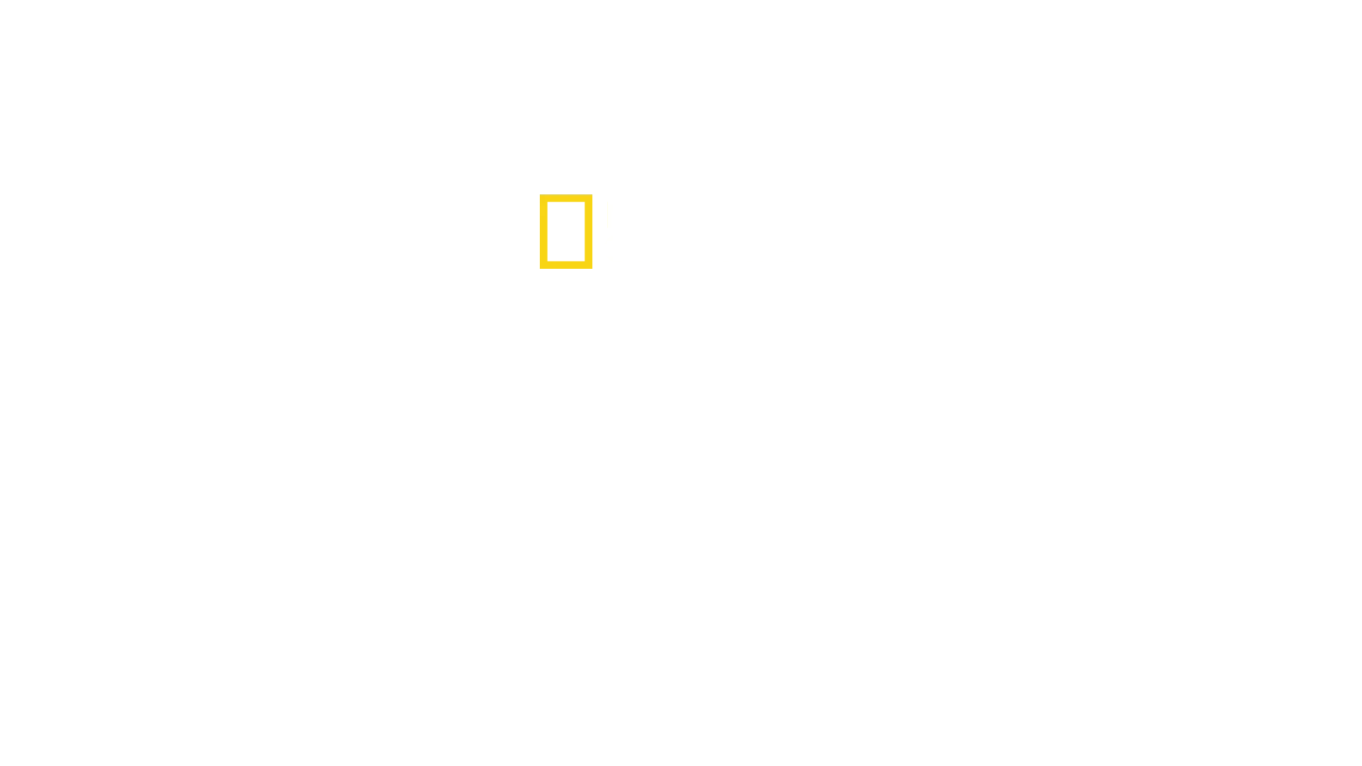 Haiangriff: Die Paige-Winter-Story