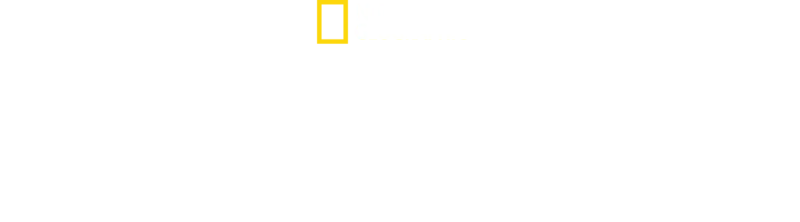 Haiangriff: Die Paige-Winter-Story
