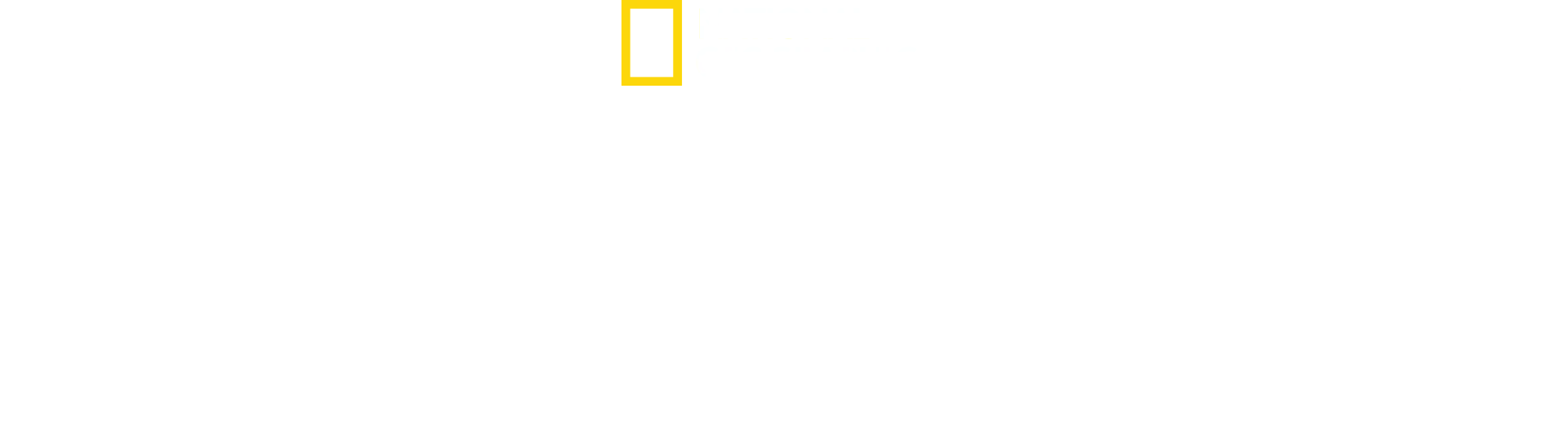 Haiangriff: Die Paige-Winter-Story